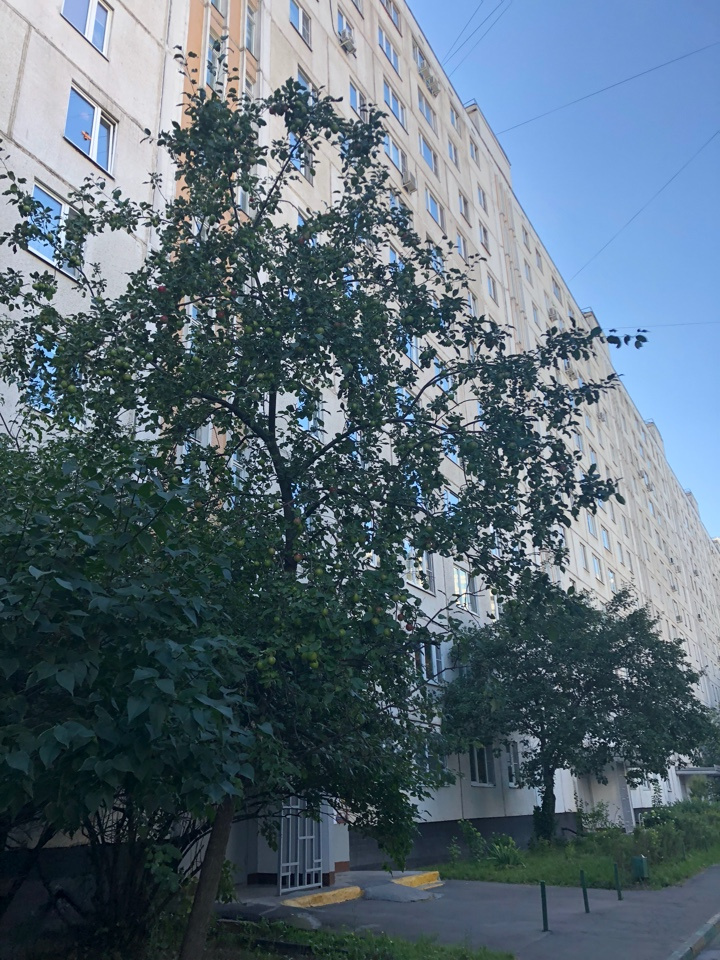 3-комнатная квартира, 64 м² - фото 19