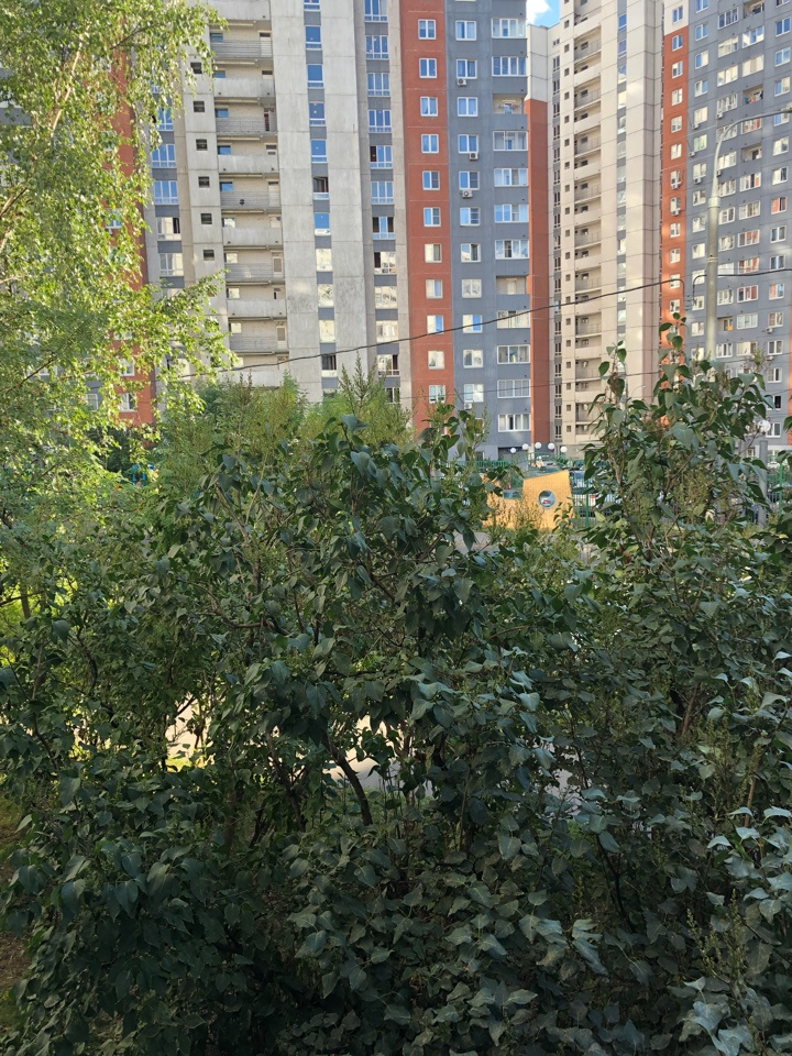 3-комнатная квартира, 64 м² - фото 16