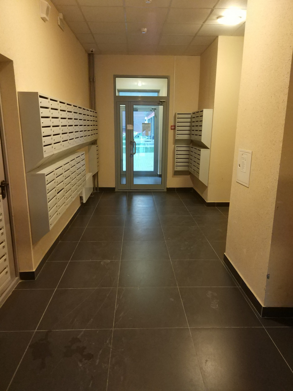 0-комнатная квартира, 21.8 м² - фото 4