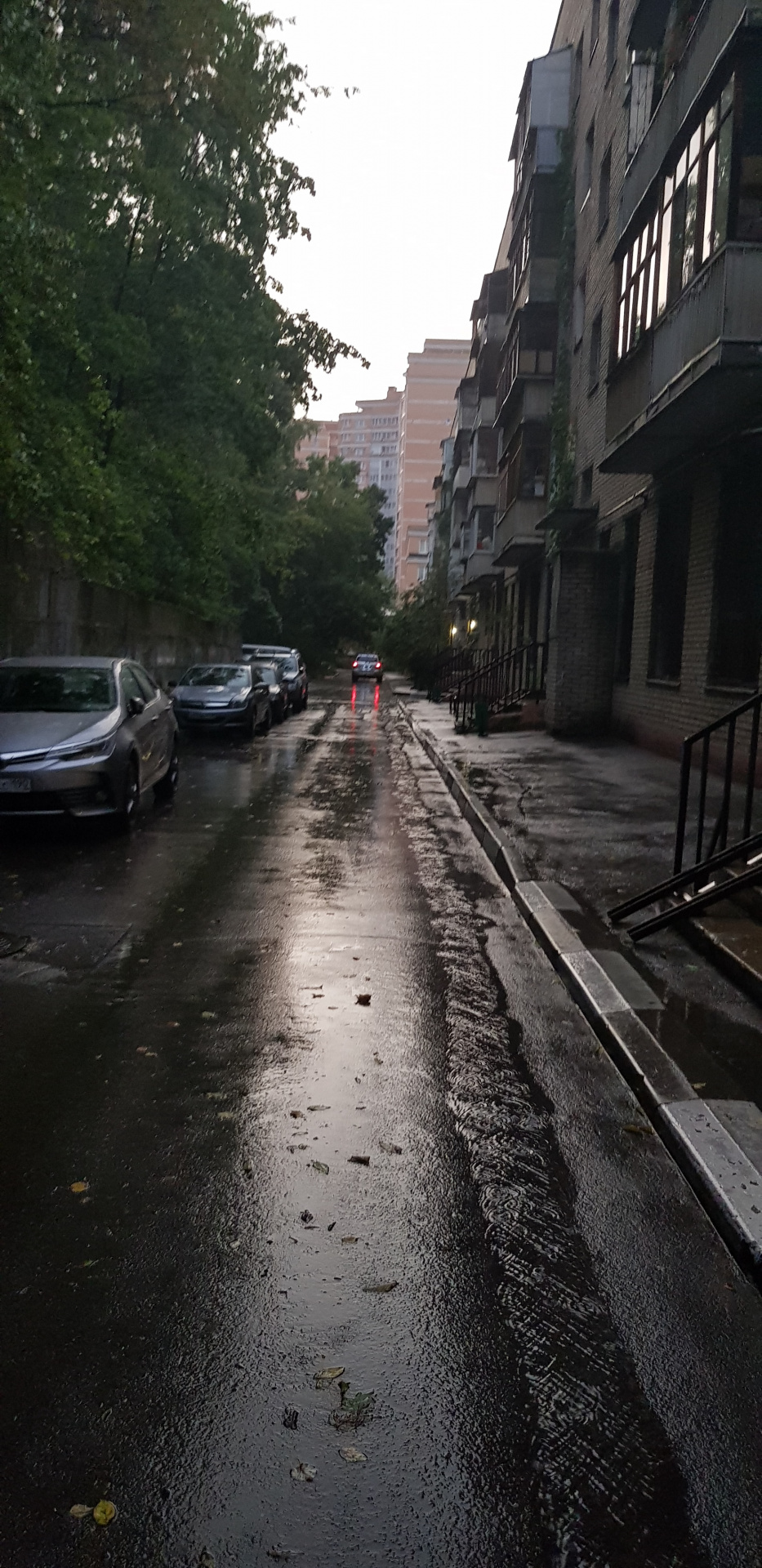 2-комнатная квартира, 43.5 м² - фото 3
