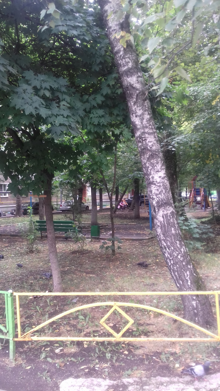 2-комнатная квартира, 43 м² - фото 2