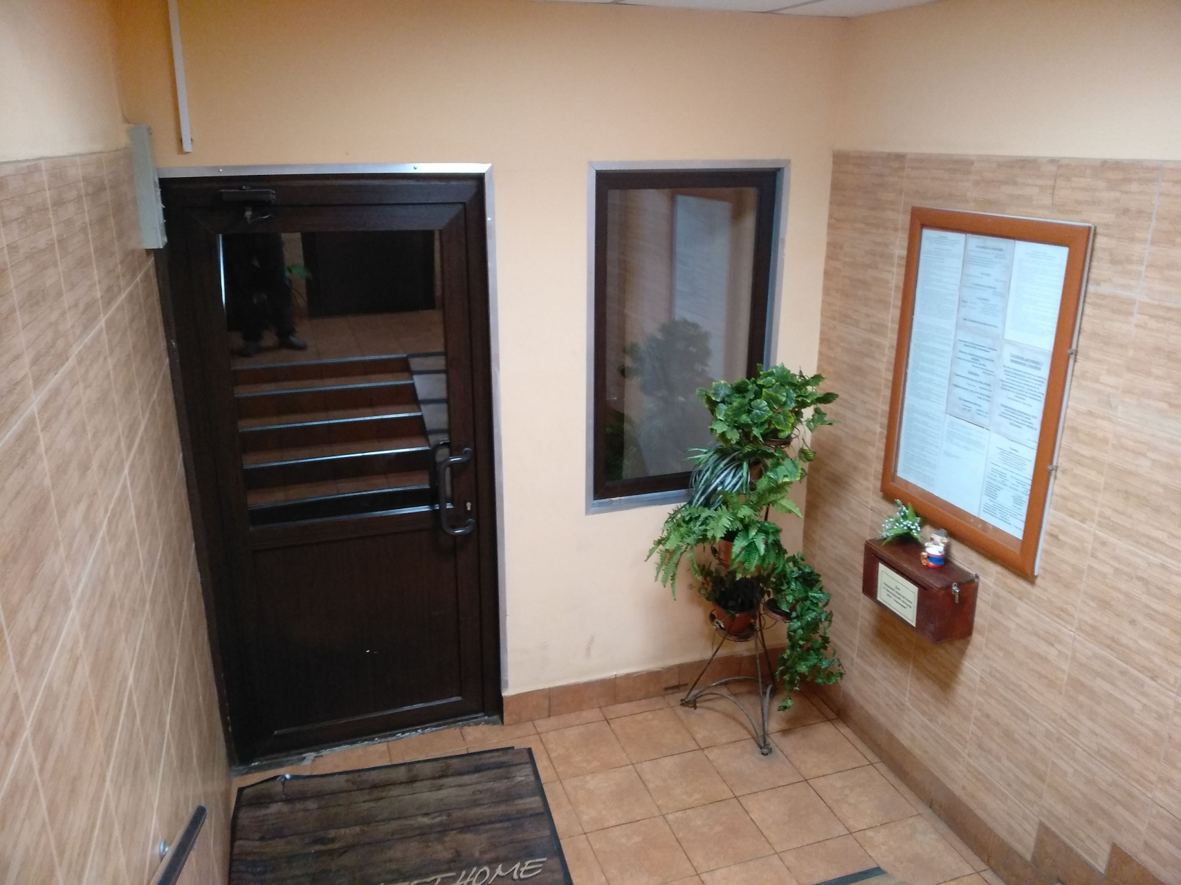 3-комнатная квартира, 50 м² - фото 3