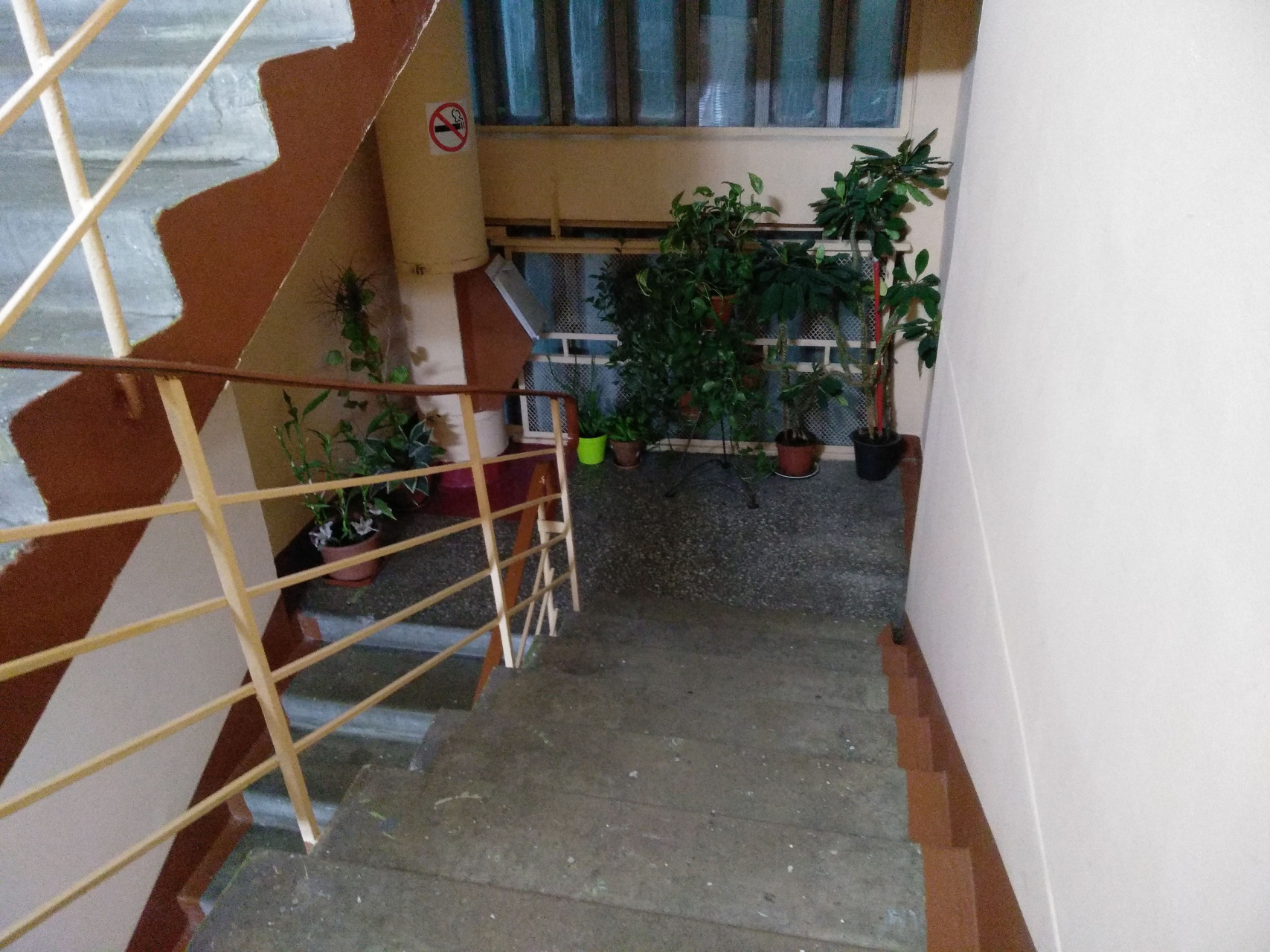 3-комнатная квартира, 50 м² - фото 13