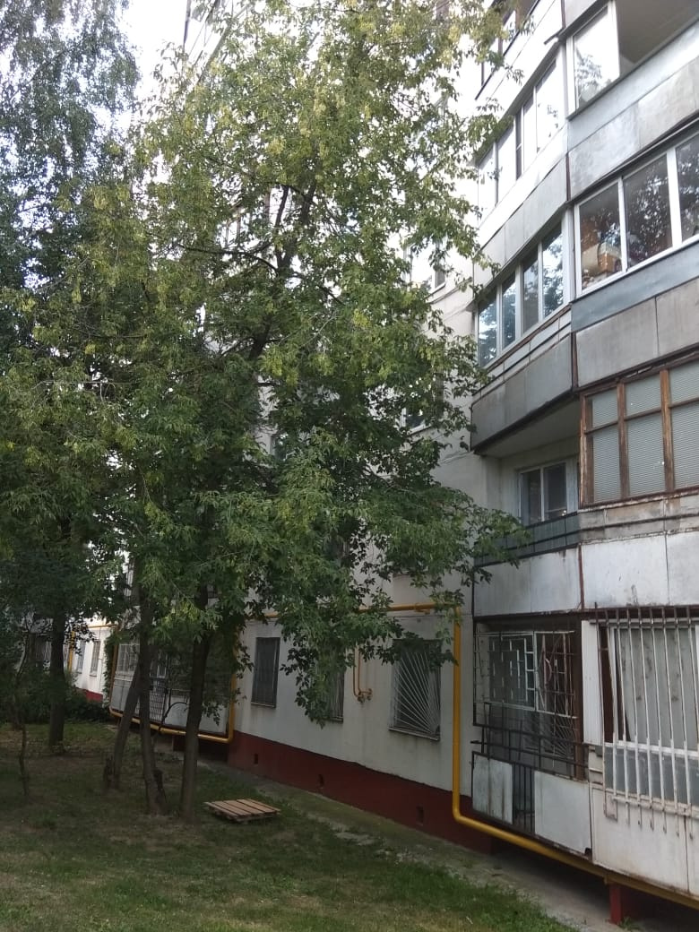 1-комнатная квартира, 32 м² - фото 2