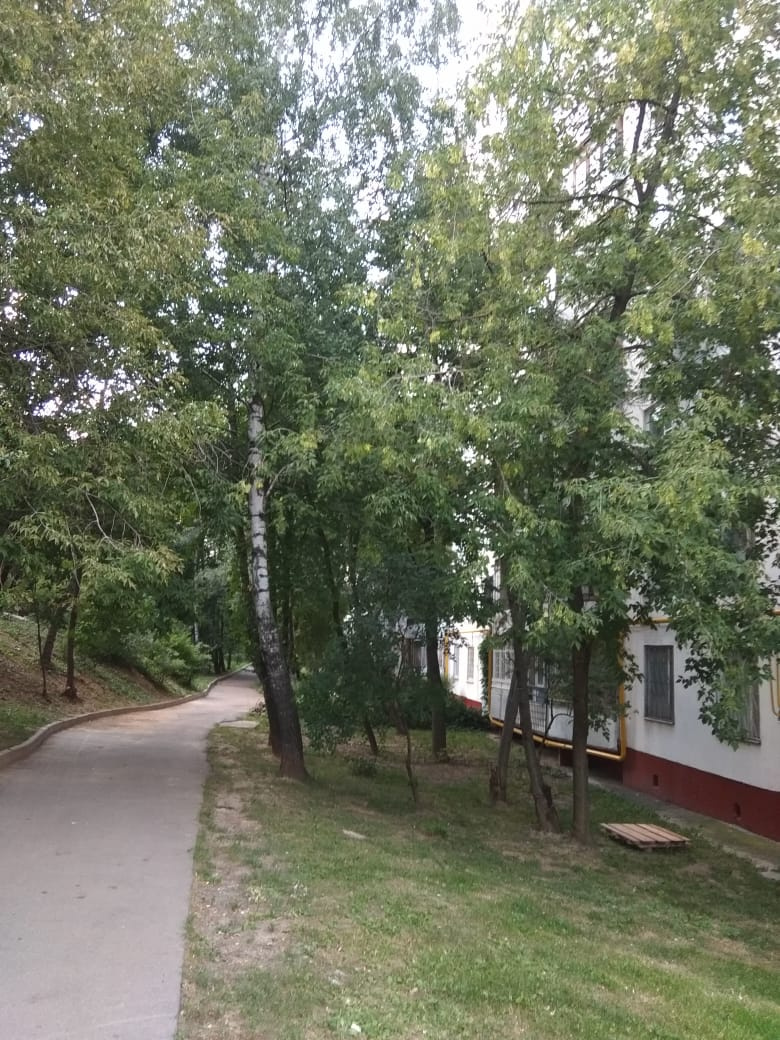1-комнатная квартира, 32 м² - фото 3