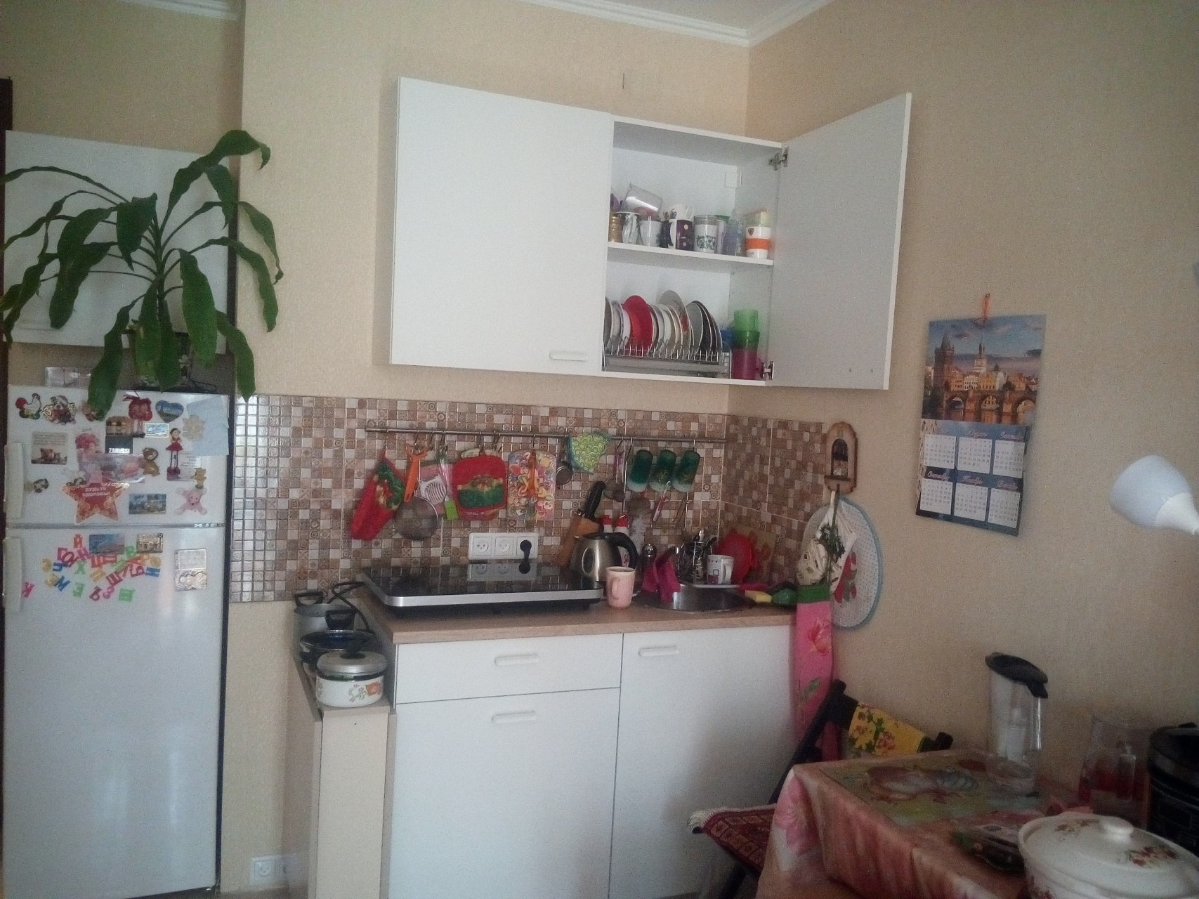 0-комнатная квартира, 30 м² - фото 3