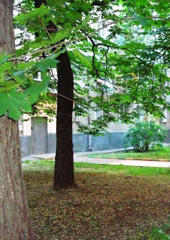 2-комнатная квартира, 44 м² - фото 13
