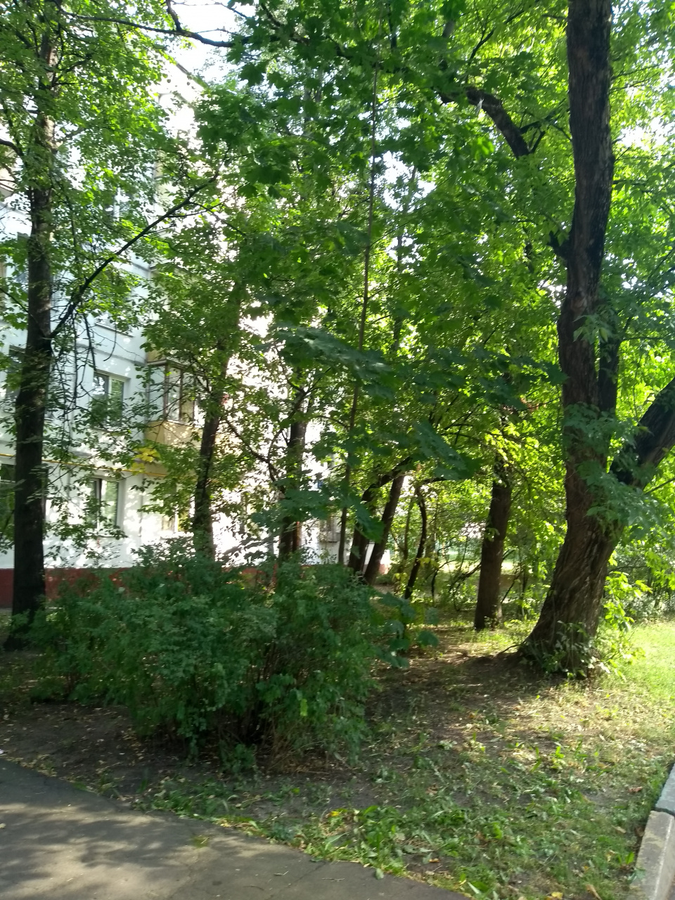 2-комнатная квартира, 45 м² - фото 13