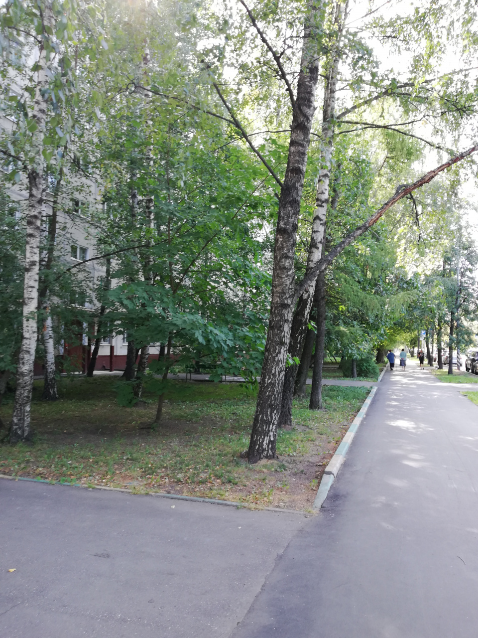 1-комнатная квартира, 33.1 м² - фото 3