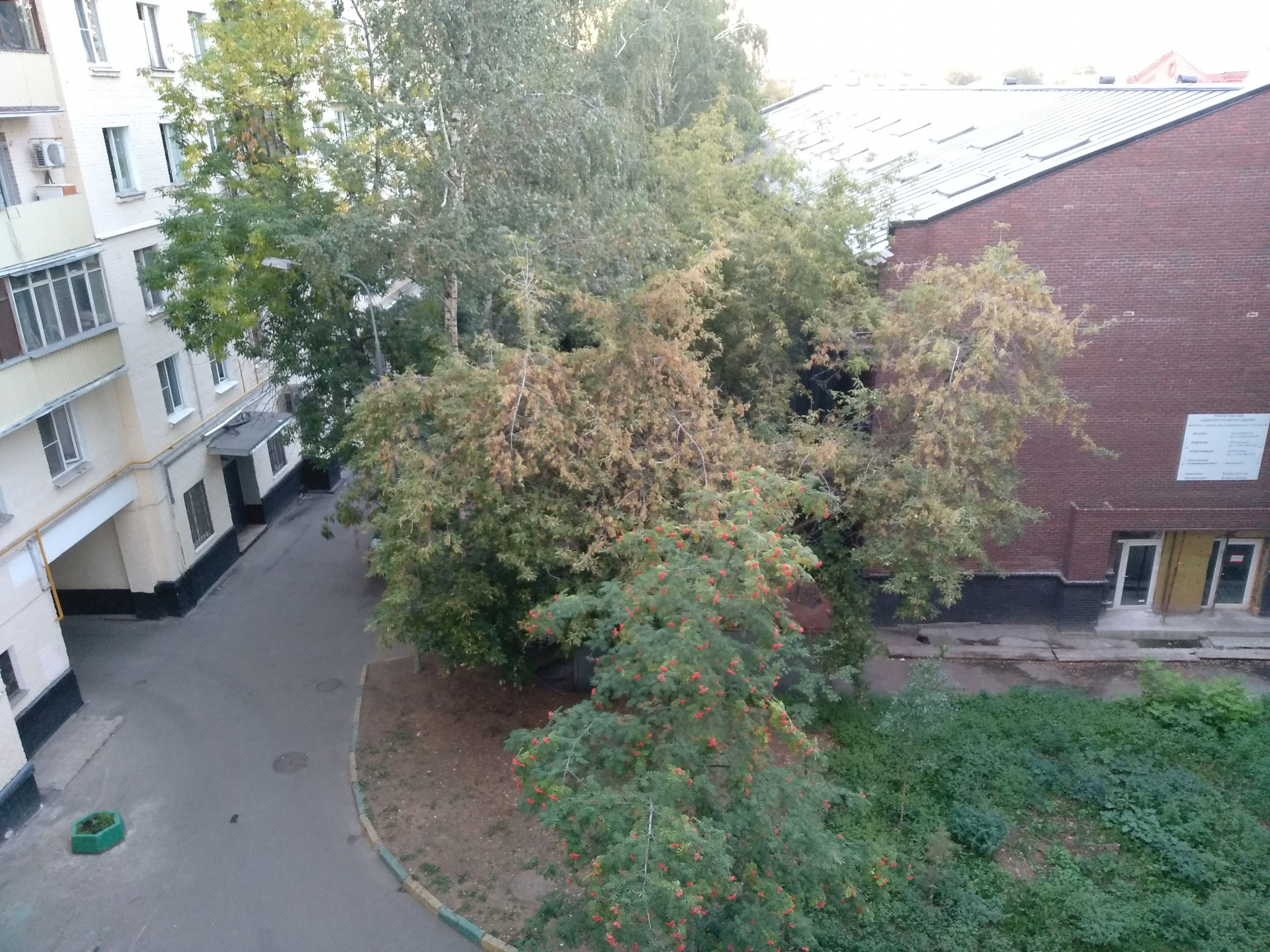 3-комнатная квартира, 84 м² - фото 15
