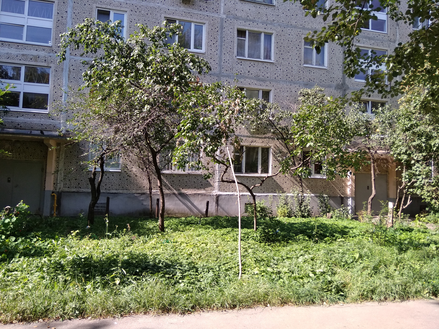 3-комнатная квартира, 63 м² - фото 2