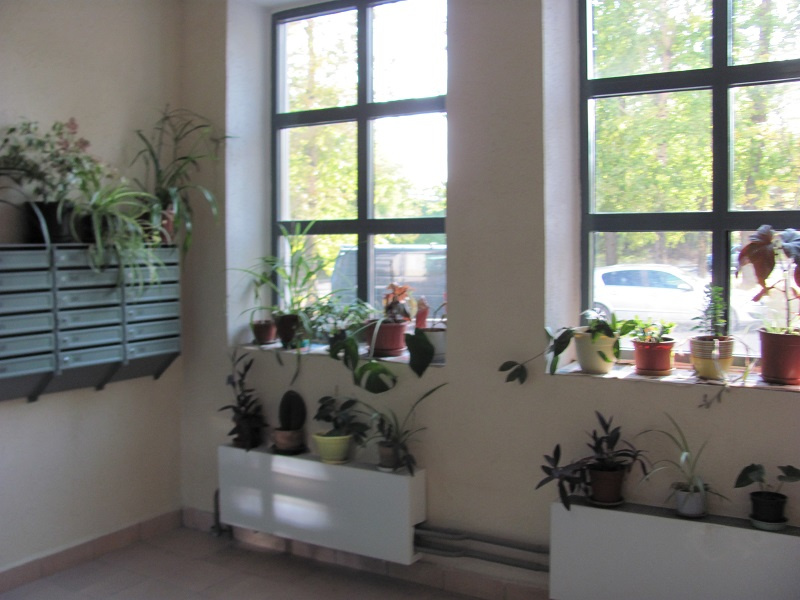1-комнатная квартира, 50.8 м² - фото 12