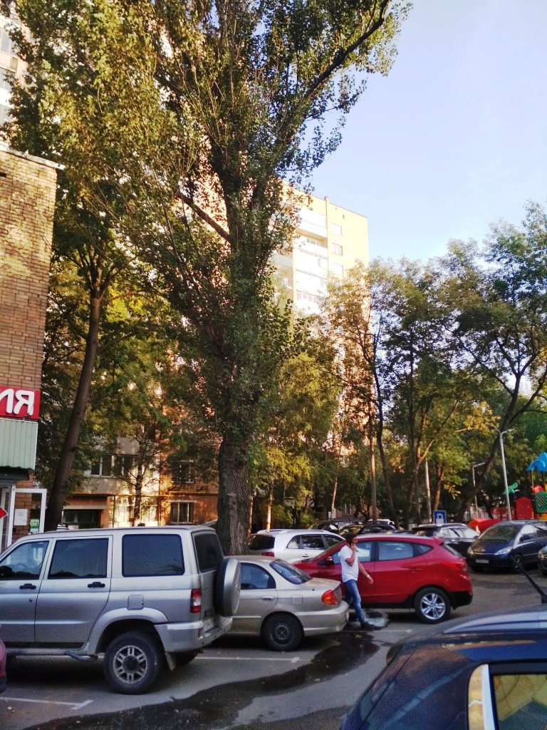 2-комнатная квартира, 55 м² - фото 6