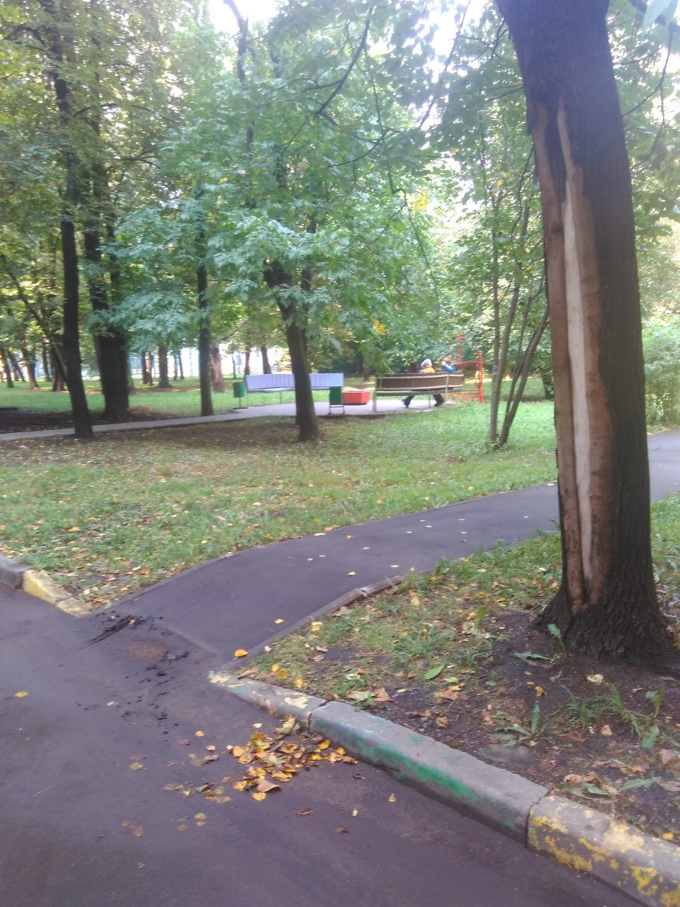 2-комнатная квартира, 45 м² - фото 4