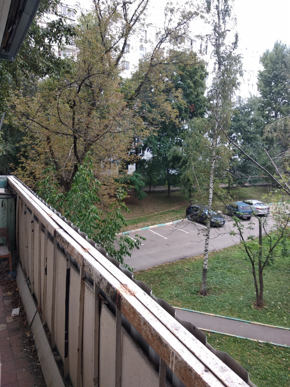 3-комнатная квартира, 56 м² - фото 10