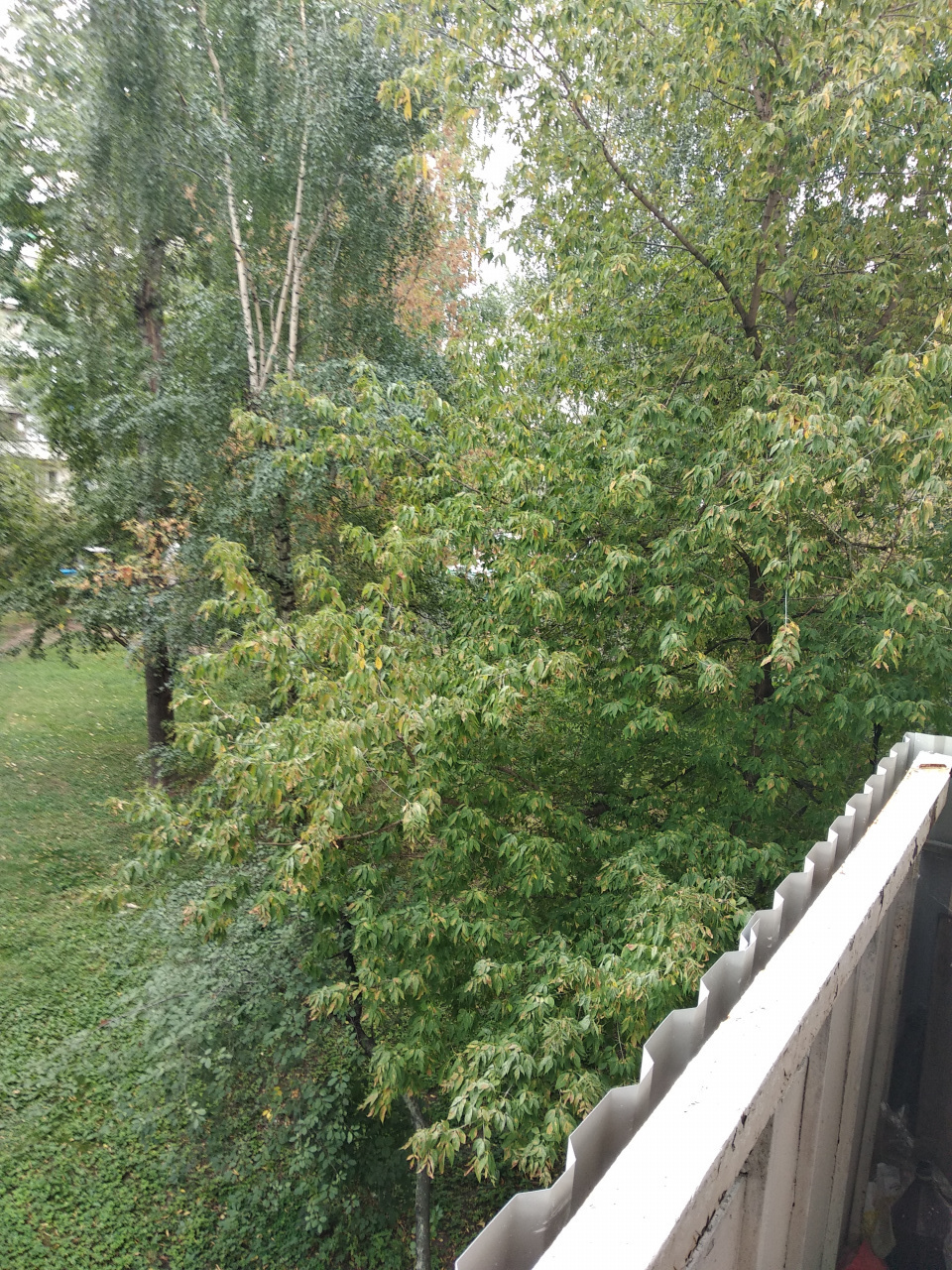 3-комнатная квартира, 56 м² - фото 11