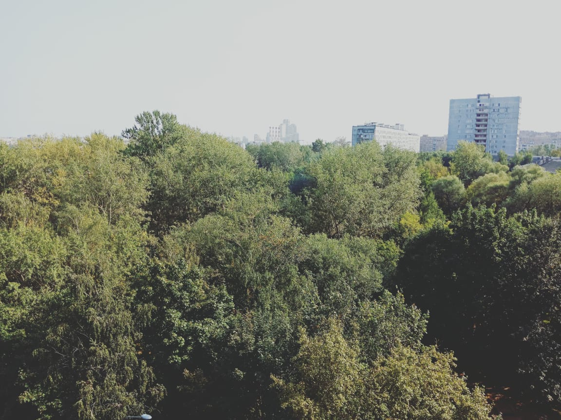 1-комнатная квартира, 35 м² - фото 11