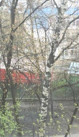 1-комнатная квартира, 34.8 м² - фото 5