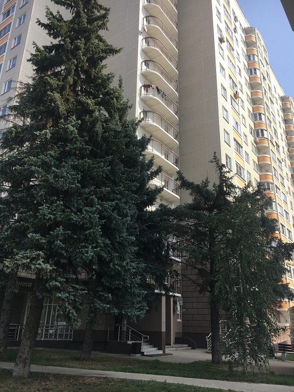 2-комнатная квартира, 58 м² - фото 16