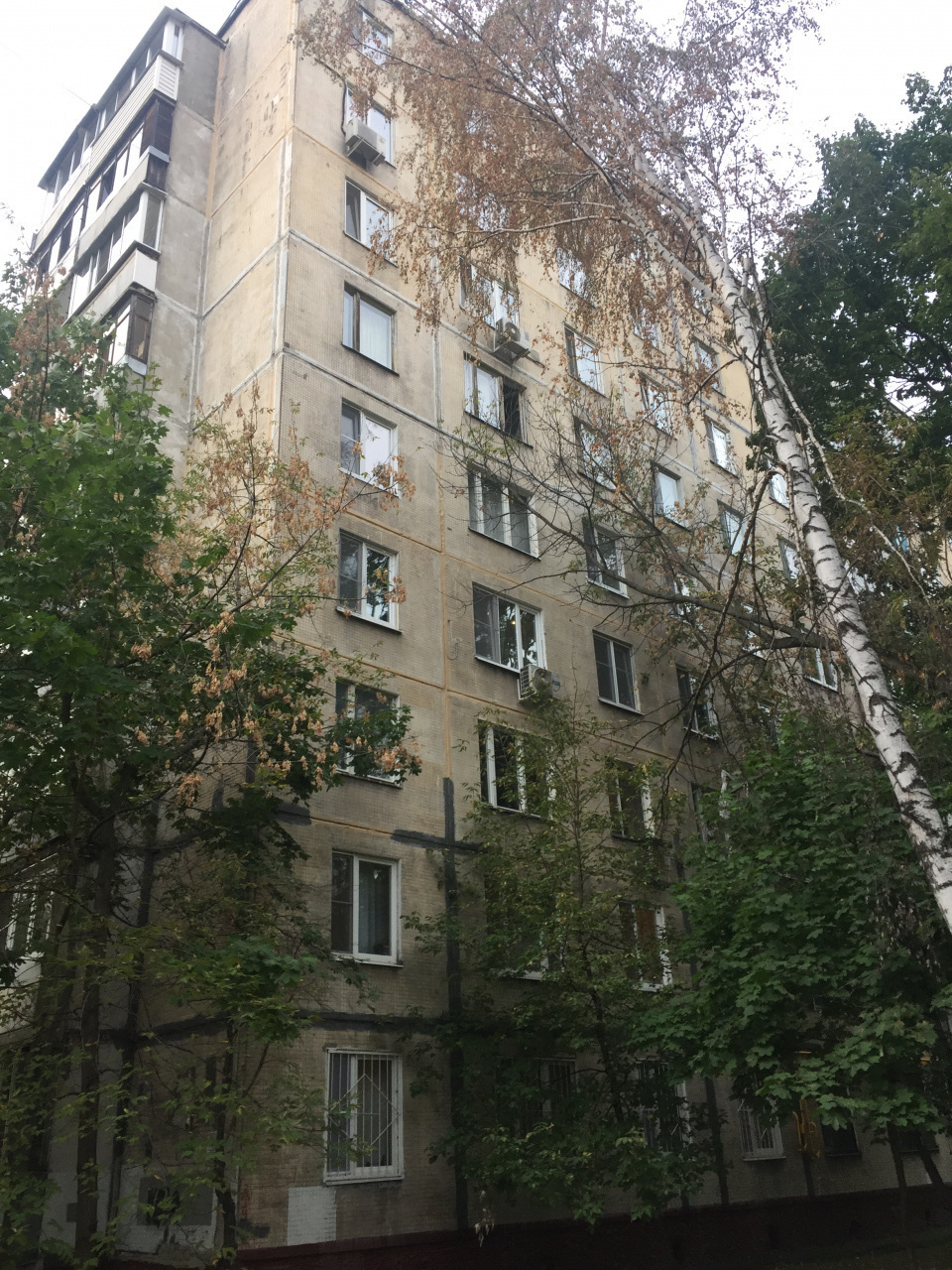 3-комнатная квартира, 59 м² - фото 10