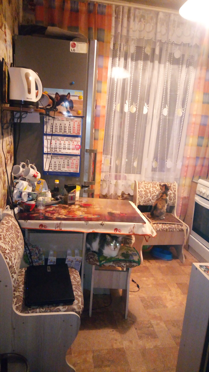 3-комнатная квартира, 57.7 м² - фото 10