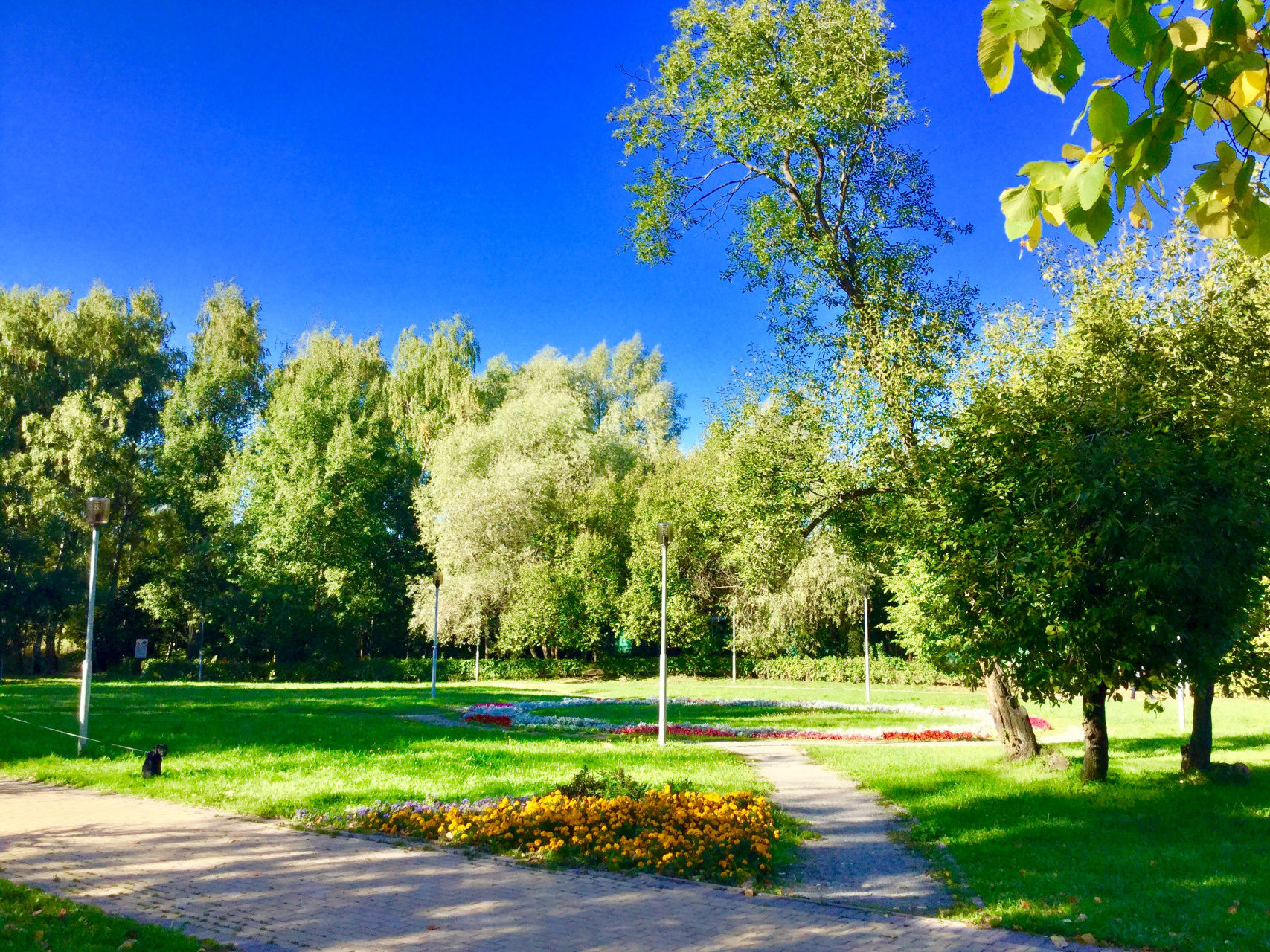 1-комнатная квартира, 33.4 м² - фото 10