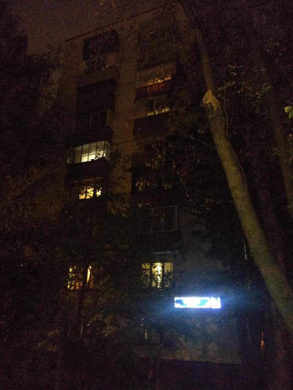 2-комнатная квартира, 37 м² - фото 11