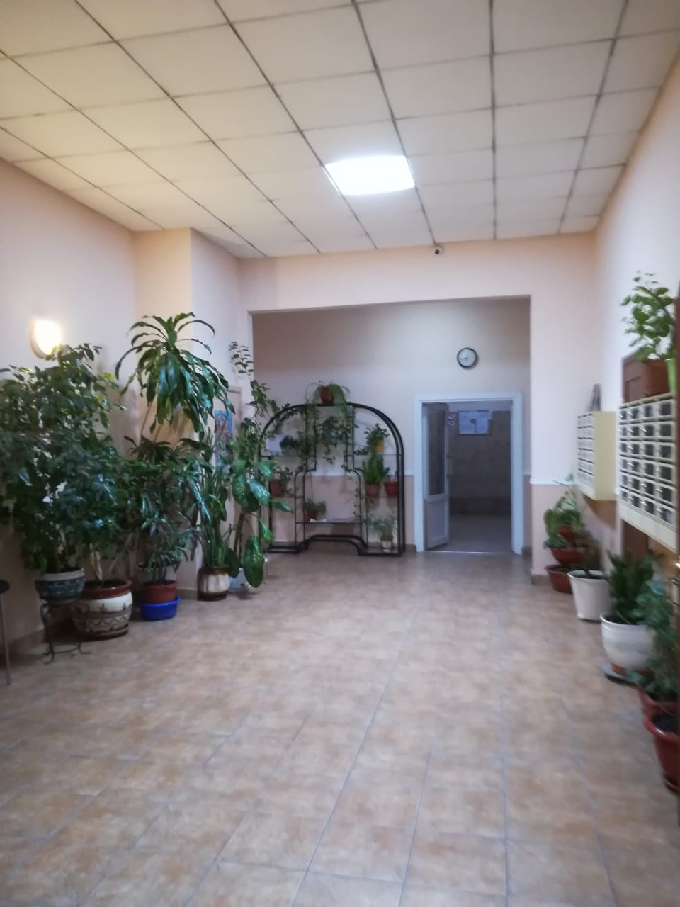 2-комнатная квартира, 80 м² - фото 4