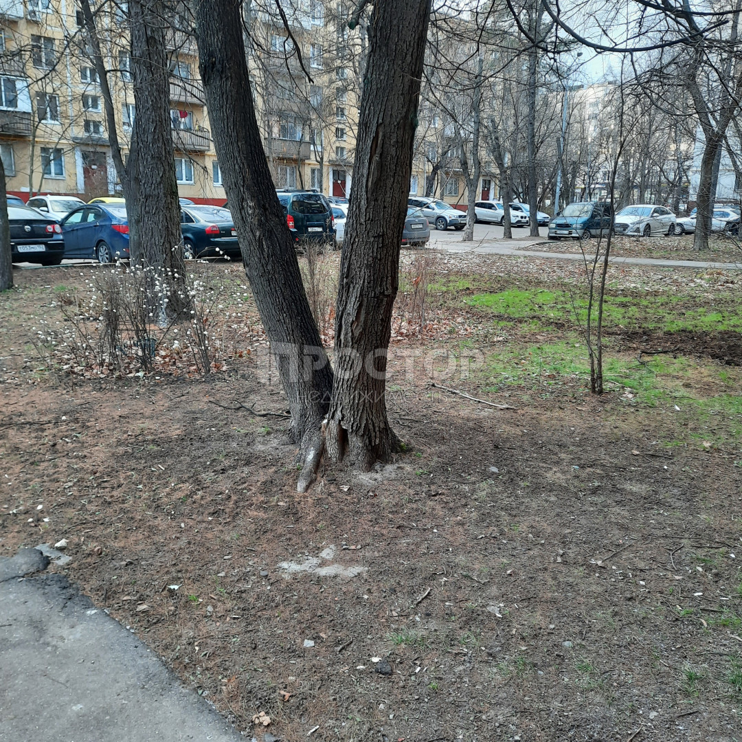 2-комнатная квартира, 45.6 м² - фото 3