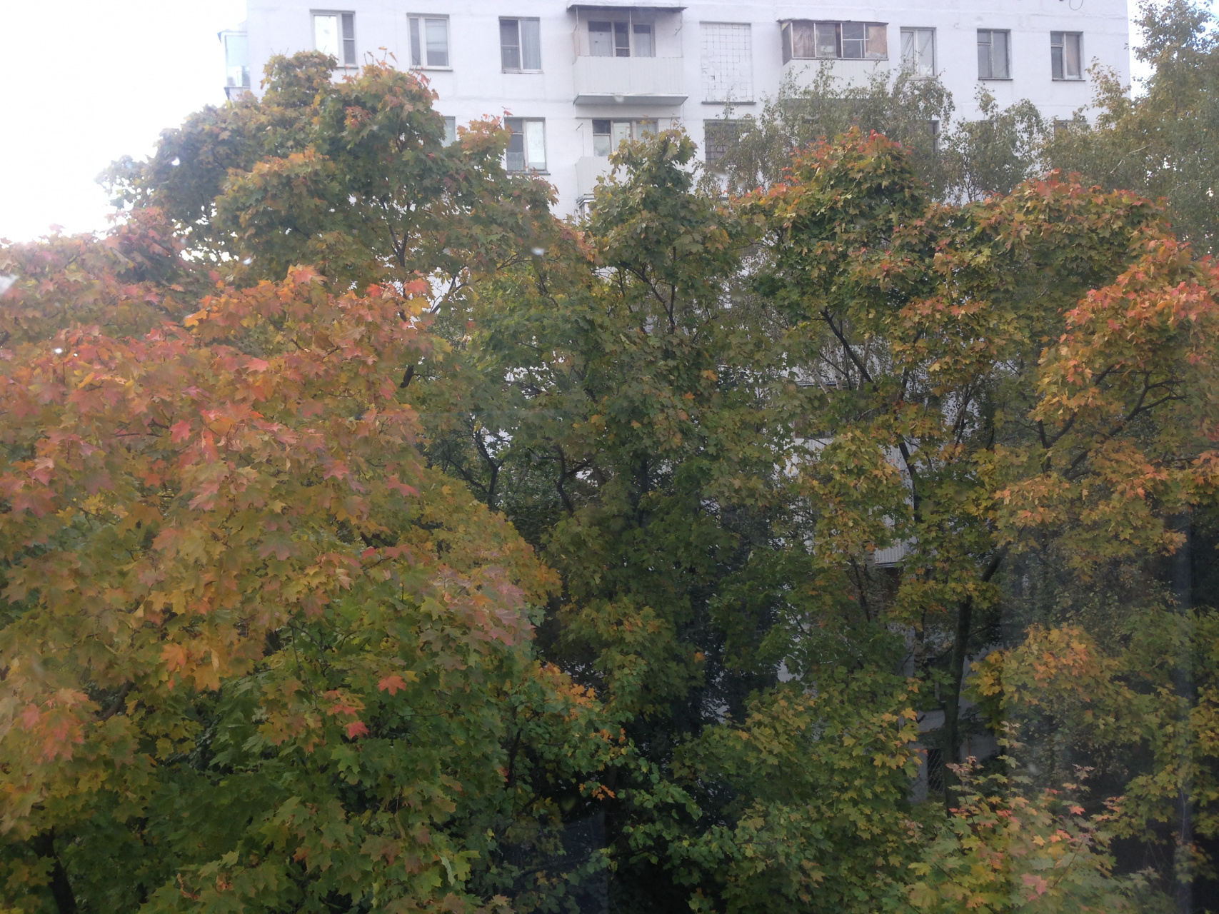2-комнатная квартира, 42 м² - фото 23