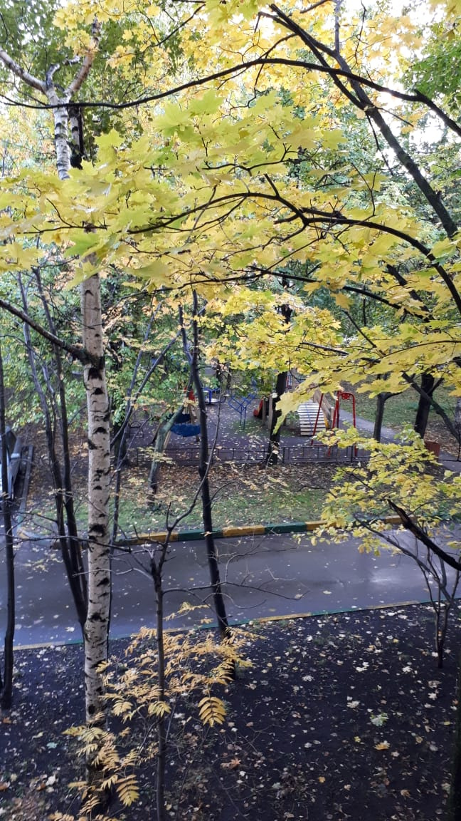 3-комнатная квартира, 74 м² - фото 6
