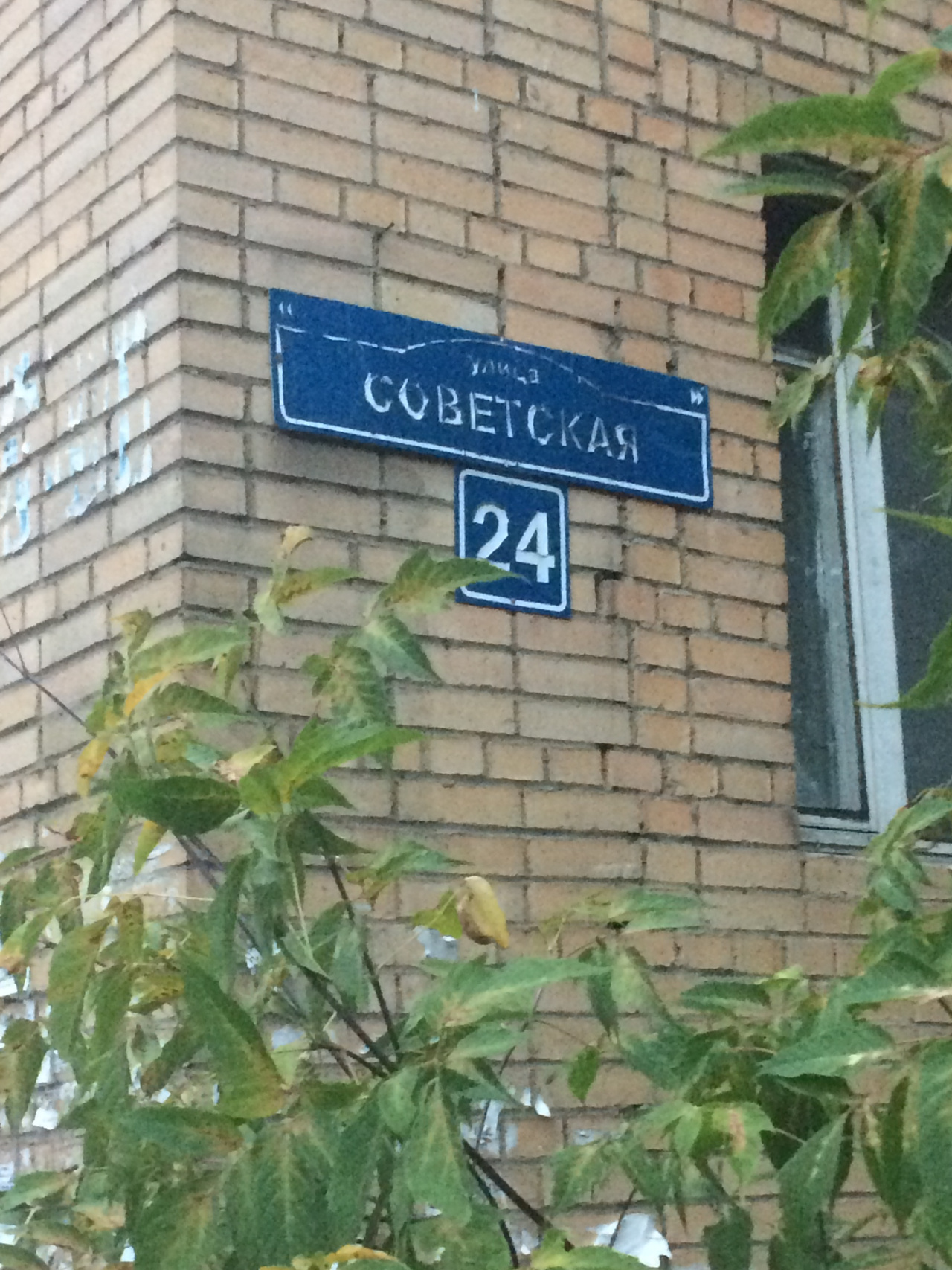 1-комнатная квартира, 31 м² - фото 15