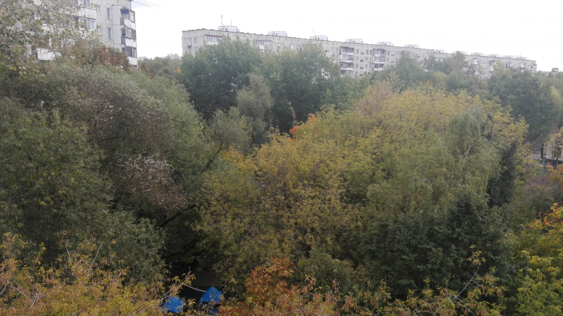3-комнатная квартира, 50.4 м² - фото 3