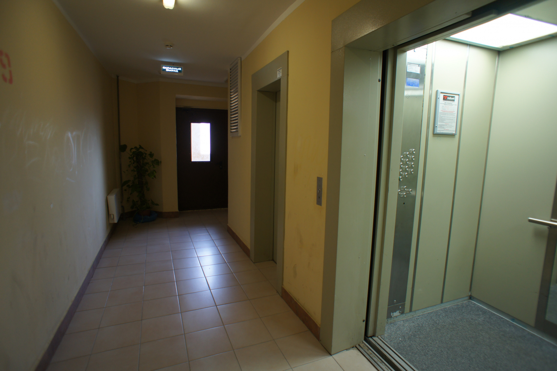 2-комнатная квартира, 66 м² - фото 5