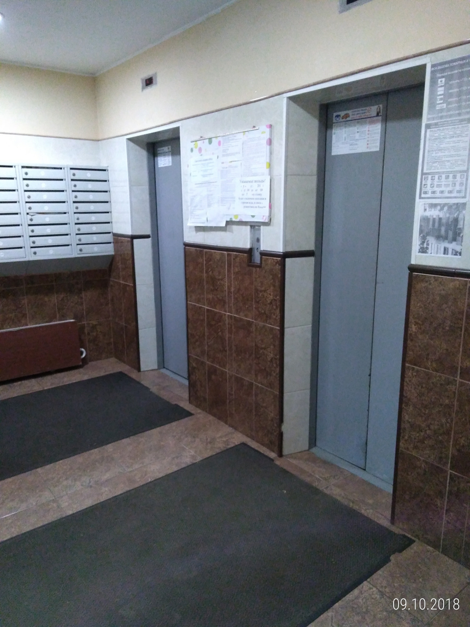 1-комнатная квартира, 55.4 м² - фото 23