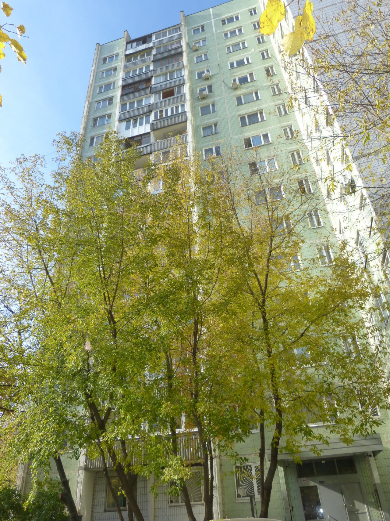 2-комнатная квартира, 53.6 м² - фото 20