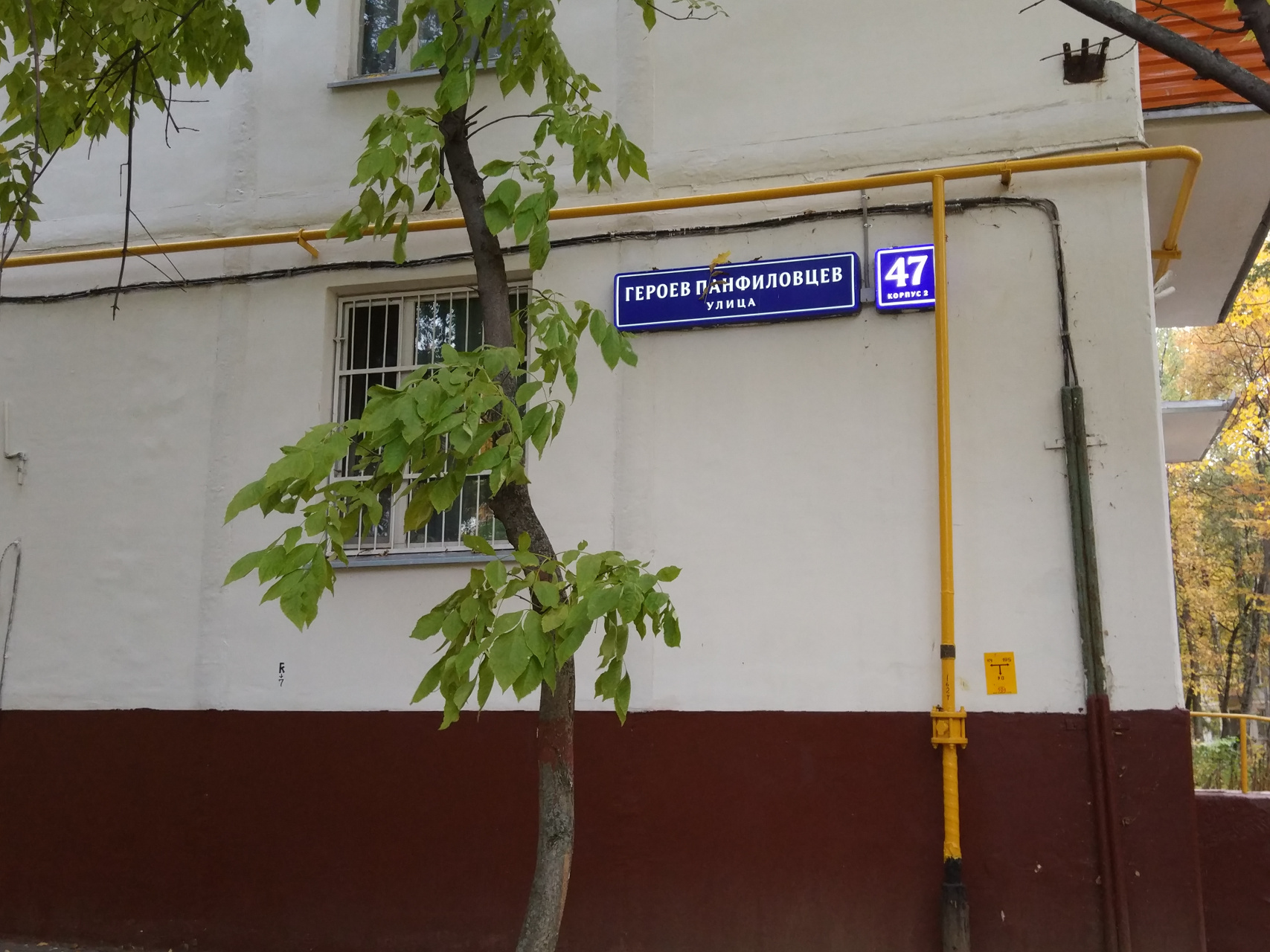 1-комнатная квартира, 30.9 м² - фото 2