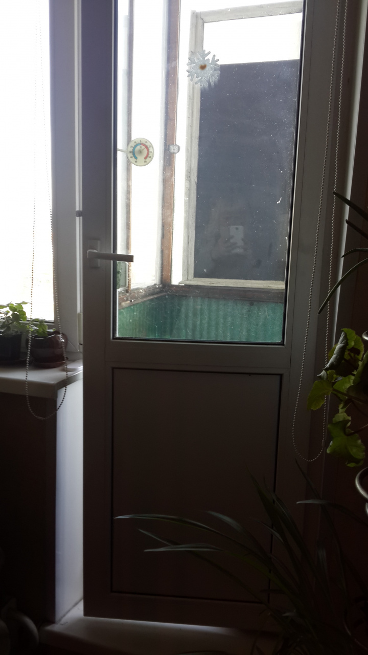 2-комнатная квартира, 53 м² - фото 4