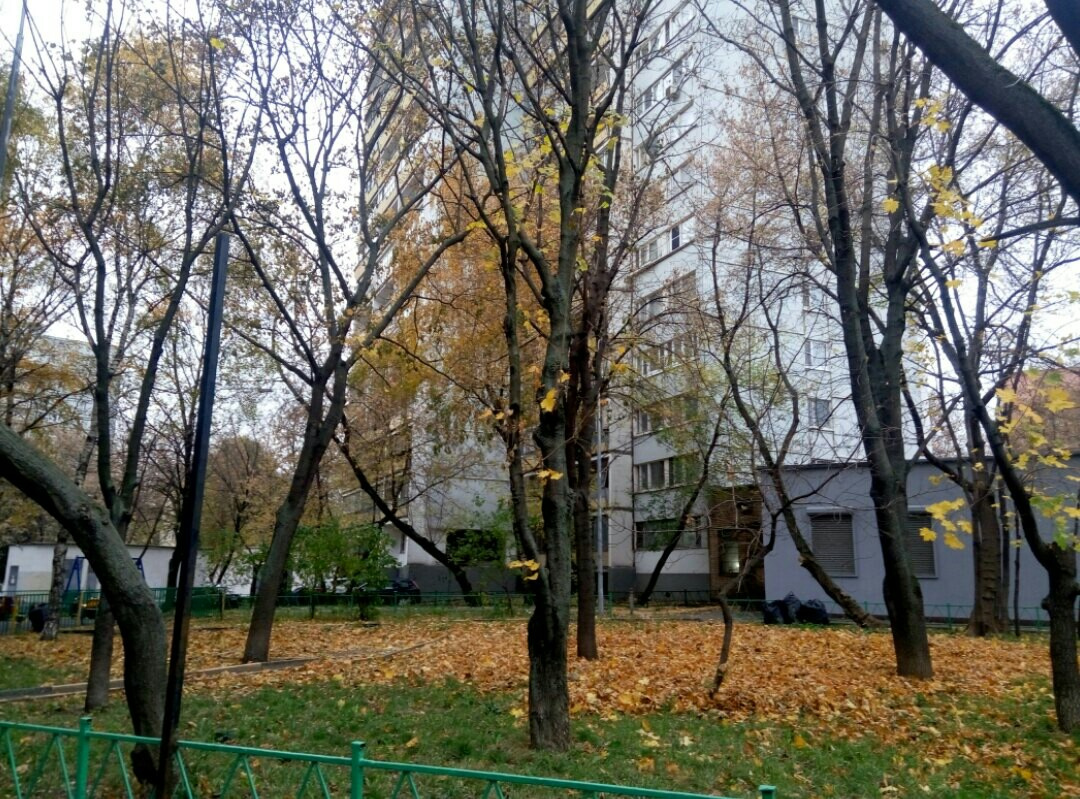 1-комнатная квартира, 26 м² - фото 13