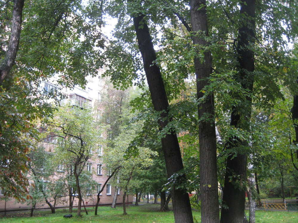 3-комнатная квартира, 55 м² - фото 12
