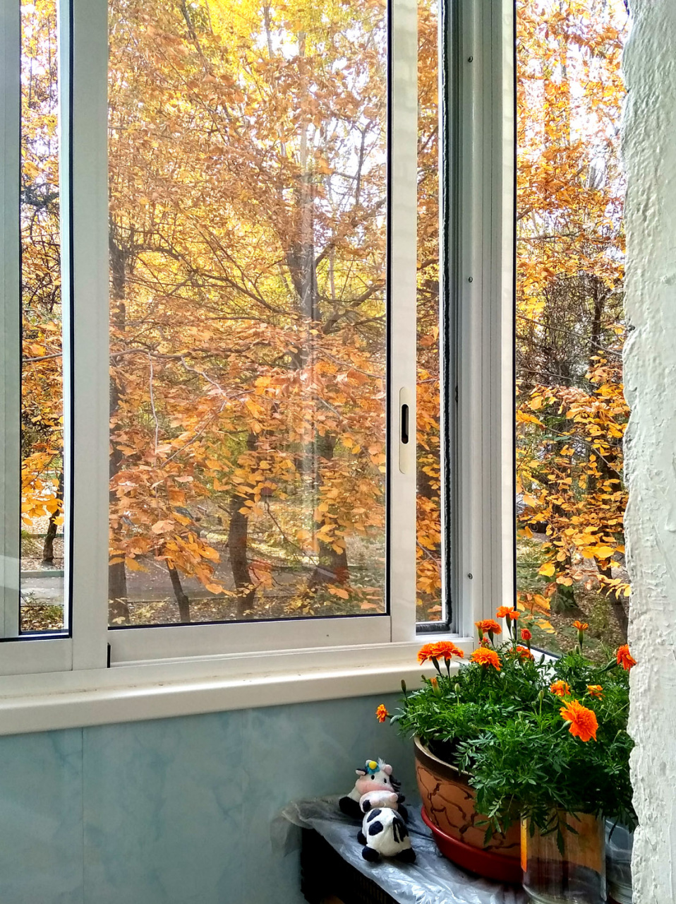 3-комнатная квартира, 73 м² - фото 4