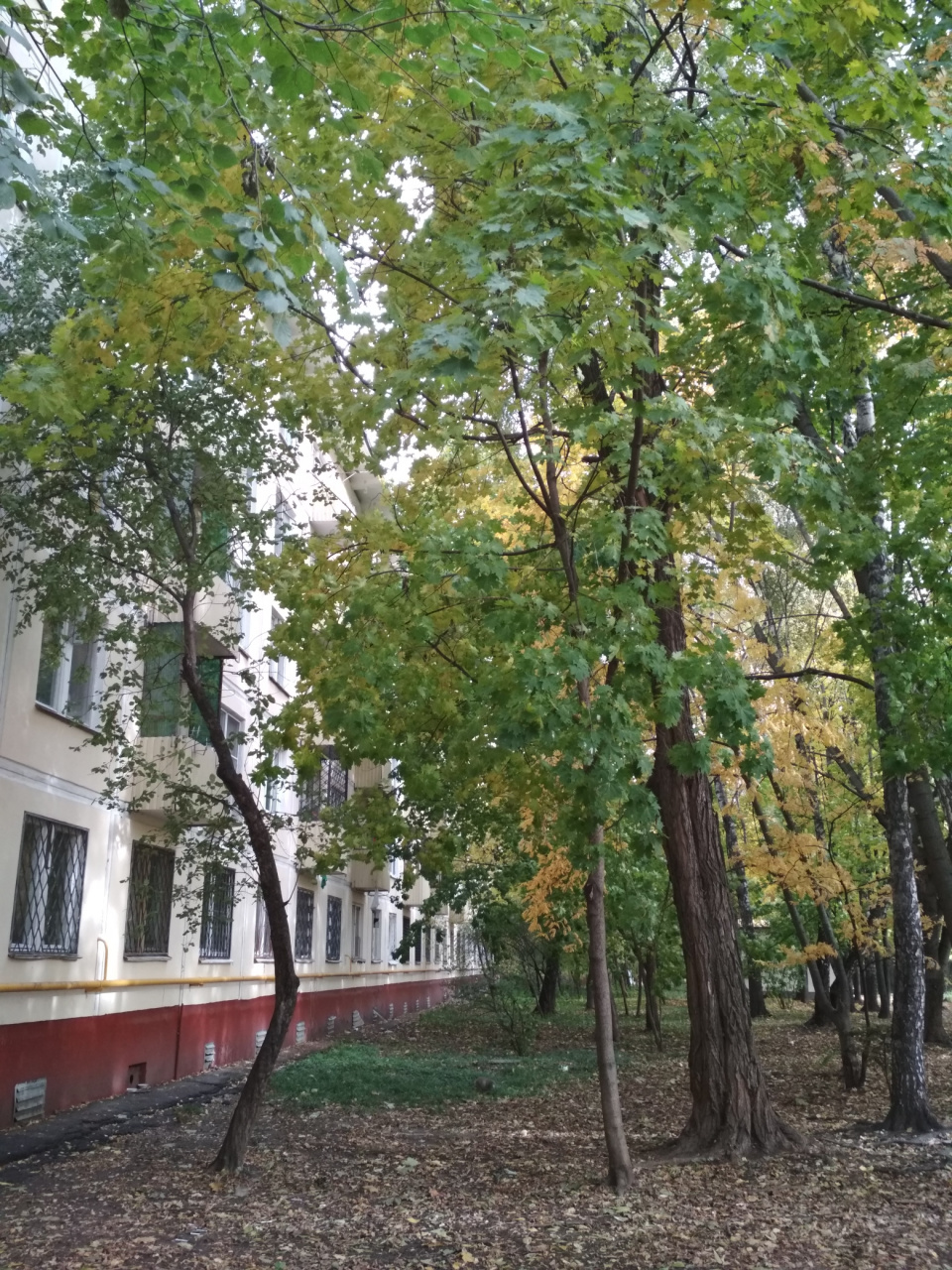 2-комнатная квартира, 45 м² - фото 14