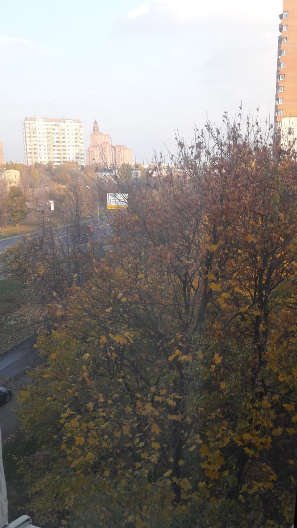 1-комнатная квартира, 31 м² - фото 7