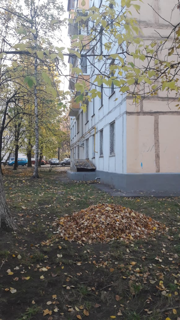 1-комнатная квартира, 31 м² - фото 16