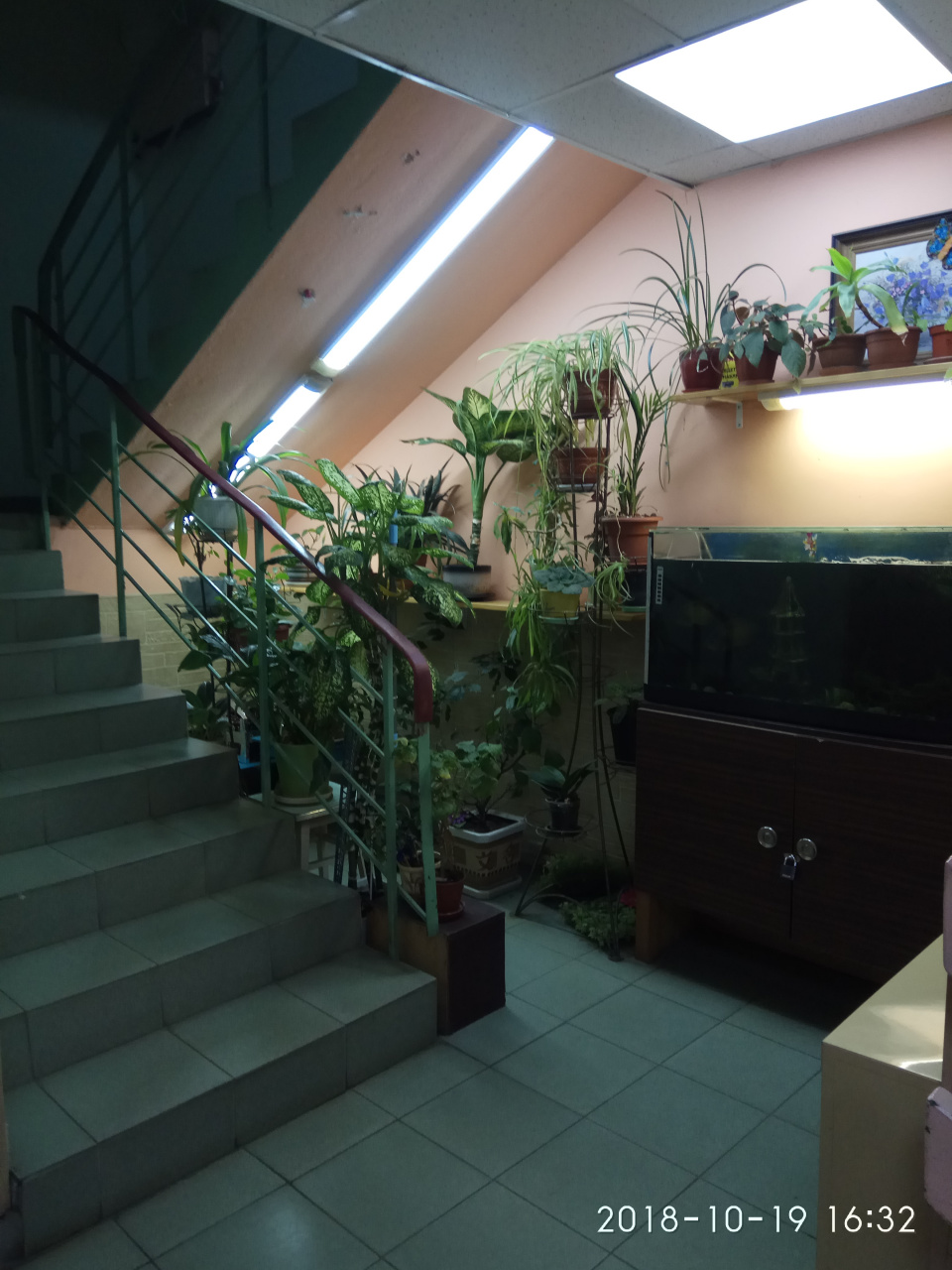 2-комнатная квартира, 50.5 м² - фото 18