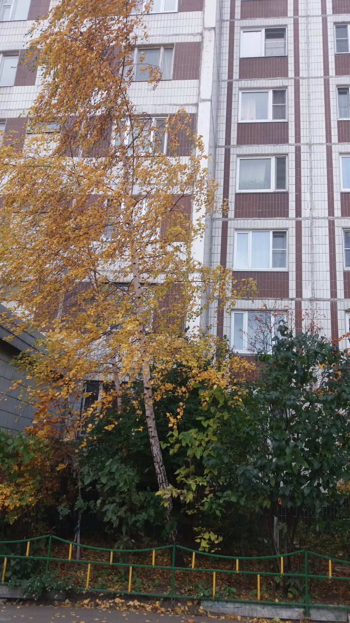 2-комнатная квартира, 58.9 м² - фото 3