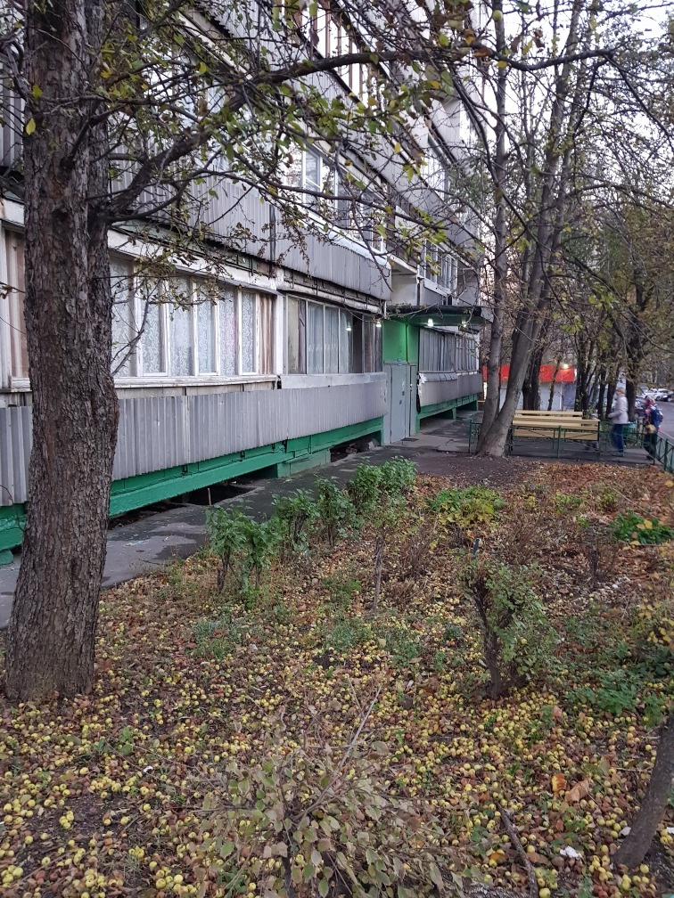 2-комнатная квартира, 45 м² - фото 7