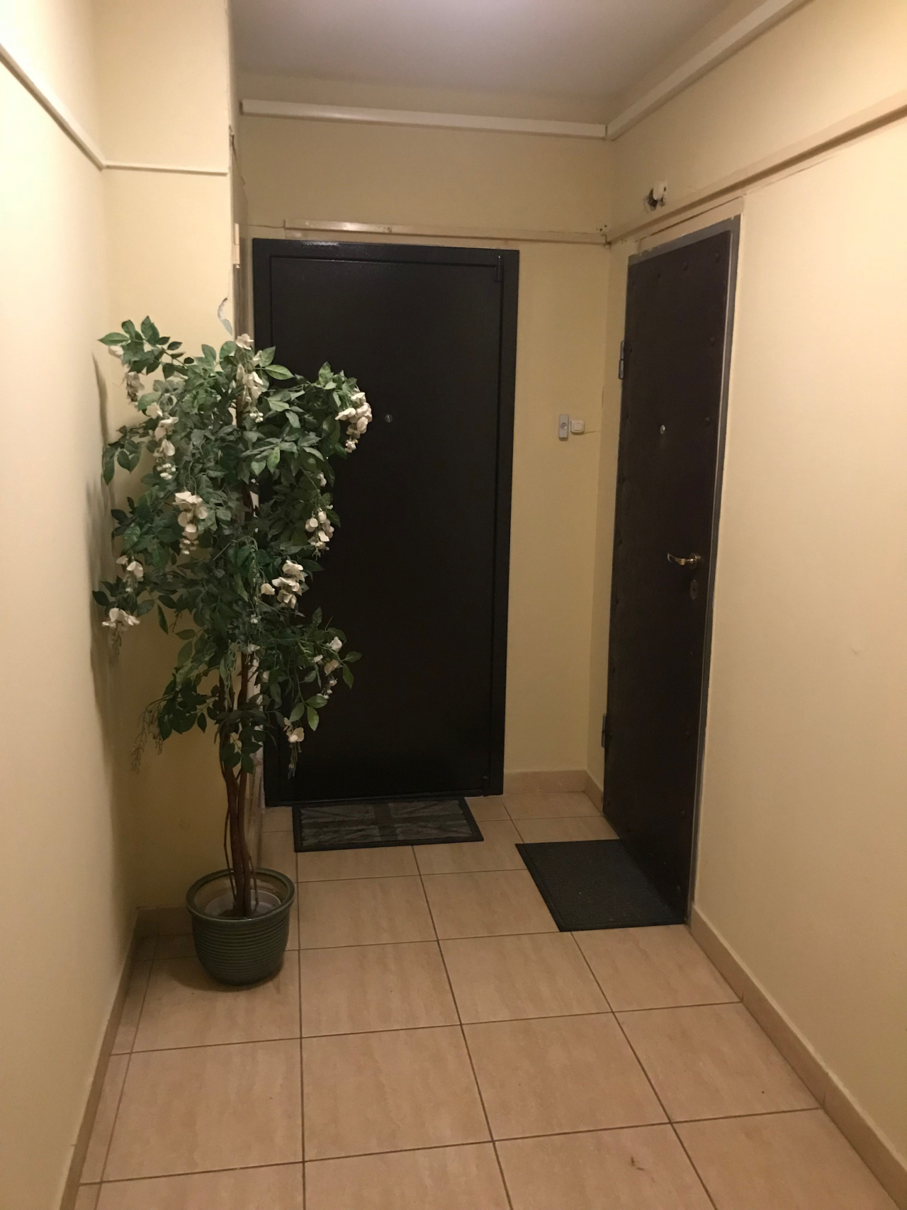 2-комнатная квартира, 54.4 м² - фото 17