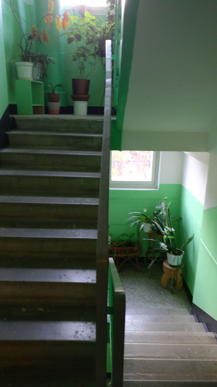 3-комнатная квартира, 61 м² - фото 7