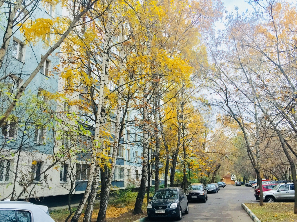 3-комнатная квартира, 68 м² - фото 23